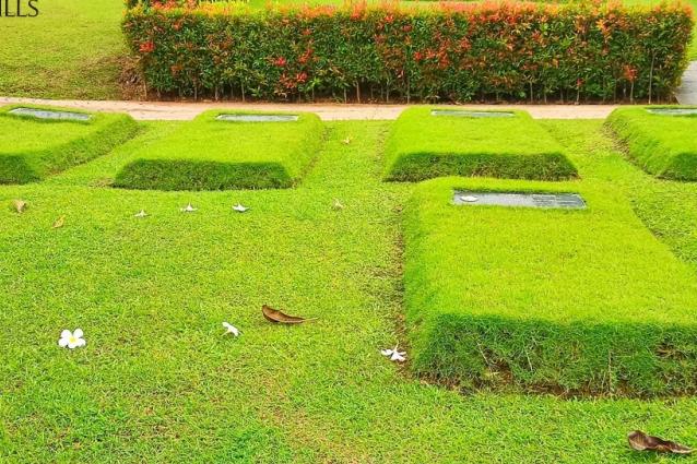 Single Burial